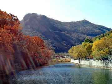 新澳天天开奖资料大全旅游团，豪猪种苗价格